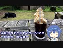 ふたりでとことこツーリング147-02　～日置市 風の丘～
