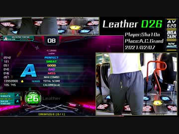 LEATHER D26 BO