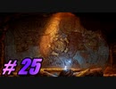 【初見実況】 Ori and the Will of the Wisps part25 【飲酒注意】