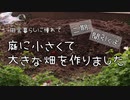 【田舎暮らしに憧れて】小さくて大きな畑を作りました【二期】