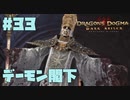 仕事辞めたので黒呪島生活。#33【ドラゴンズドグマダークアリズン】【DDDA】