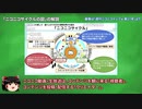 【ゆっくり解説】「親の図」ってなんなんだ？
