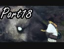 ぼやきながら冒険する『人喰いの大鷲トリコ』実況プレイ Part18