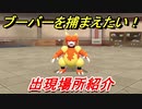 ポケモンピカブイ　ブーバーを捕まえる方法！出現場所紹介！図鑑コンプへの道！　【ポケットモンスター Let's Go! ピカチュウ・イーブイ】