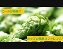 【スパイスを知ろう！】ホップを知ろう！【part71】