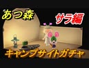 あつまれどうぶつの森　キャンプサイトガチャ　好きな住民を探しに行こう！　サラ編　【あつ森】