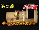 あつまれどうぶつの森　キャンプサイトガチャ　好きな住民を探しに行こう！　ダイク編　【あつ森】