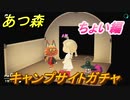 あつまれどうぶつの森　キャンプサイトガチャ　好きな住民を探しに行こう！　ちょい編　【あつ森】