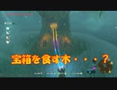 【実況】ゼルダの伝説 BREATH OF THE WILD　Part58【初見】