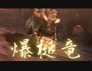 【実況】思い出の神ゲーやっていくよ part19【MH3G/HD】