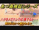 あつまれどうぶつの森　ハチをメガホンで応援すると・・・　【あつ森】