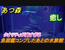 あつまれどうぶつの森　魚図鑑コンプした後の水族館は！？クオリティが高すぎる！　【あつ森】