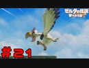 【実況】空飛んでる敵にブーメランが効くわけないだろ #21【ゼルダの伝説 夢をみる島】