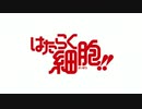 こちら、はたらく細胞派出所!!