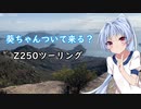 葵ちゃんついて来る？第2話「ボーレタリア王城へどうぞ逝ってらっしゃい」