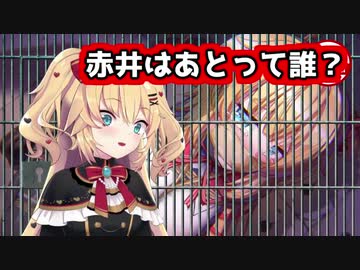 もうひとりの自分と戦いながらエッッ絵を鑑賞するはあちゃま