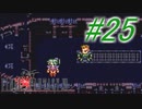 【FF6】すぐ泣く人のFF6初見実況☆パート25【実況】