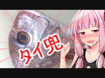 タイ兜を料理する茜ちゃん