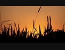 【Instrumental】夏、独り言【オリジナル】