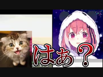 危うく飼い猫に台パンしかける笹木