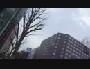 2021/２/10(木) 反日カルト、集団ストーカー組織共謀犯罪周知 札幌ゲリラ街宣ー③