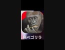 膀胱との戦い。