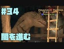 仕事辞めたので黒呪島生活。#34【ドラゴンズドグマダークアリズン】【DDDA】