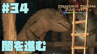 仕事辞めたので黒呪島生活。#34【ドラゴンズドグマダークアリズン】【DDDA】