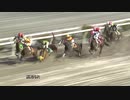 2021年2月10日高知競馬6R 香川県馬事畜産振興協議会協賛 香川県オリーブ牛特別(C1-2組) 不成立