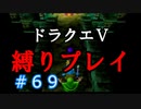【ドラクエ5 縛りプレイ】ケンタラウスは見つからない…でもレベルは上がってきたね。Part69【アルカリ性】