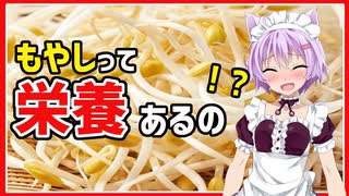 【健康】もやしはなぜ安いの？栄養はあるの？歴史と共に【VOICEROID解説】