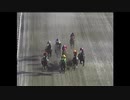 2021年2月10日高知競馬6R 香川県馬事畜産振興協議会協賛 香川県オリーブ牛特別(C1-2組) パトロール映像のみ