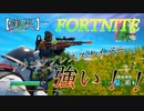 【FORTNITE】初めてドラゴンブレススナイパーを使ってみた【実況】