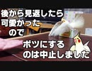 25年間ずっと飼い主が大好き！(NGシーン)