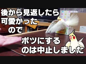 25年間ずっと飼い主が大好き！(NGシーン)