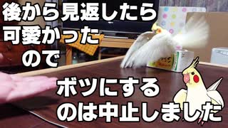 25年間ずっと飼い主が大好き！(NGシーン)