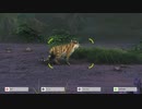 Zoo tycoon つぶやき実況7-3