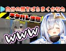 【イタズラ】自分の顔をホロ鯖中にばらまく天音かなた