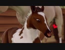 RSHR：理論世界！一族の栄光を取り戻す競馬の海外ゲーム＃７