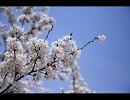 ぼくが運転中に、花の子ルンルンを歌ってみた。