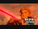 [初見] ゼルダ無双厄災の黙示録 一応実況プレイかも！ 第27回 -2/2