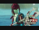 [初見] ゼルダ無双厄災の黙示録 一応実況プレイかも！ 第28回 -1/2