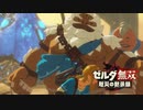 [初見] ゼルダ無双厄災の黙示録 一応実況プレイかも！ 第28回 -2/2