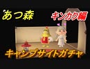 あつまれどうぶつの森　キャンプサイトガチャ　好きな住民手に入れるには！？　キンカク編　【あつ森】