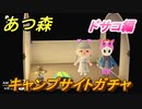 あつまれどうぶつの森　キャンプサイトガチャ　好きな住民手に入れるには！？　ドサコ編　【あつ森】