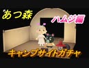 あつまれどうぶつの森　キャンプサイトガチャ　好きな住民手に入れるには！？　ハムジ編　【あつ森】