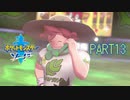 【ポケモン剣実況】nintendo switchを初めて手にした踝猫背のグダグダポケモン冒険記 part13