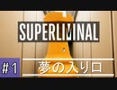 【superliminal】視覚が全てを物語る【part1】