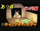 あつまれどうぶつの森　キャンプサイトガチャ　好きな住民手に入れるには！？　ドングリ編　【あつ森】