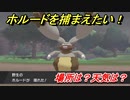 ポケモン剣盾　ホルードを捕まえる方法！オススメの場所は？天気は？ポケモン図鑑コンプへの道！　【ポケモンソード・シールド】